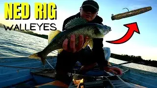 Weedline WALLEYE Fishing With The Most UNDERATED Bait
