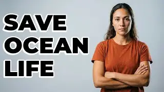 How Do The 3 R's Protect Ocean Health?