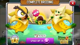 Dragon City: Banana Dragon vs Bananoss Dragon [EXCLUSIVE BREEDING] 😱