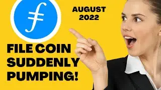 File Coin Important Update 2022 🙄 Sudden Price Increase in FIL Token in Bears Market