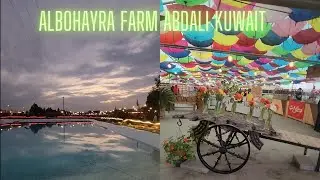 Albohayra farm: organic food, farming, shopping & fun in Abdali, Kuwait