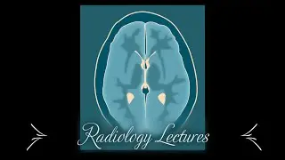 How to perform Advanced Abdominal and Renal Ultrasound. Level 2