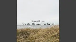 Coastal Haven Binaural Ocean