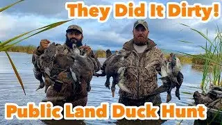 Public Land Duck Hunting Smack Down | 2 Man Limit!