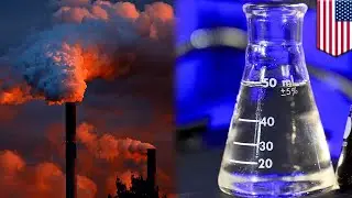 Превращение CO2 в кислород: учёные преобразуют углекислый газ в этанол с помощью солнца &mdash; TomoNews