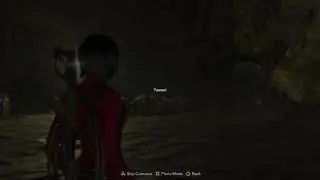 ADAlicious fight !