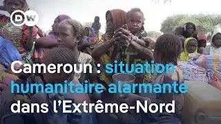 Crise humanitaire alarmante dans l&rsquo;Extr&ecirc;me-Nord du Cameroun : plus d&rsquo;un million de vies en danger