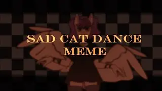 🍁|Ｓａｄ ｃａｔ ｄａｎｃｅ  | ｍｅｍｅ |🍁