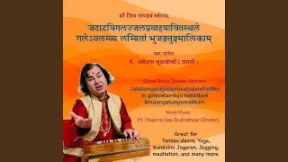 Shiva Tandav (Jatatavigalajjalapravahapavitasthale galevalambya lambitam bhujangatungamalikam)