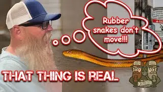 &ldquo;She Thought It Was a Rubber Snake&hellip; Then It Moved 🐍😱&rdquo;