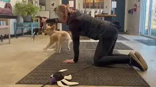 Puccini - Day 17: precision in position, calm focus, eye contact, and &ldquo;Outs&rdquo;