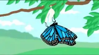 Črka M - METULJ