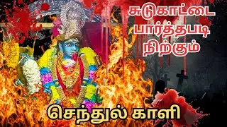 செந்துல் காளியம்மன் | Sentul Kaliamman Temple | Tamil