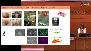 Confer&egrave;ncia 2022. Helena Mazuelas: Models cel&middot;lulars in vitro per l&rsquo;estudi de neurofibromes en NF1