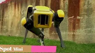 David Mime - Android