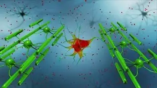 New Tools in Fight Against Virus that Attacks the Brain