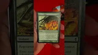 Mail Day! Force of Negation + Sword of Feast & Famine Pickup 🔥 | CardKingdom Haul