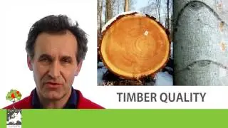 J&uuml;rgen Bauhus - Timber Quality vs. Biodiversity - a Contradiction?
