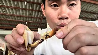 VLOG PEKANBARU-BATAM! makan gonggong with @mister.aloyyy