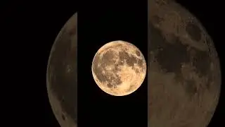August Super Moon Up Close
