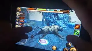 Adult Penguins Watch Ultimate Jungle Simulator in Afternoon!