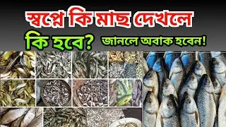স্বপ্নে কি মাছ দেখলে কি হবে? জানলে অবাক হবেন | মাছ স্বপ্নে দেখা | Fish in dream | স্বপ্নে মাছ ধরা |