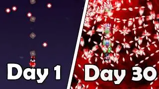 I Played One Month of Touhou as a Complete Beginner