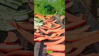 Preserving vegetable through sun drying |  Philippines #countrylife #provinciallife #Kidapawan