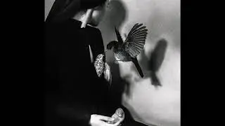 simone kermes