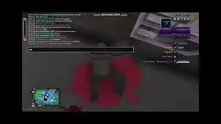 self report 