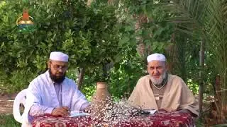 فتاوى لفضيلة الشيخ عمر سعيد عبد النور