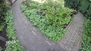 De Borstelman - Groene aanslag probleem op terrastegels verwijderen