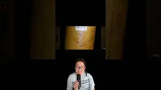 Hans Reiser Part 10