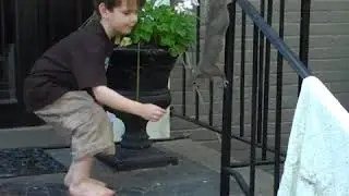 любимые зверюшки