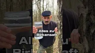 Schon mal probiert? #birkensaft #survival
