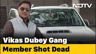 UP Gangster Vikas Dubey's Aide Involved In Ambush That Killed 8 Cops Shot Dead