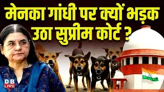 Maneka Gandhi पर क्यों भड़क उठा Supreme Court ?गांधी की बॉडी लैंग्वेज पर उठाए सवाल |Congress |#dblive