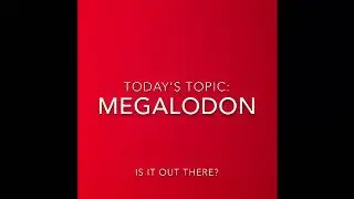 MEGALODON IS REAL?!? Is the supposed &ldquo;Extinct Shark&rdquo; still wandering our lustering waters?