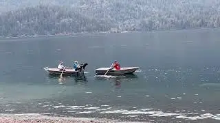 Working Water Dog Test