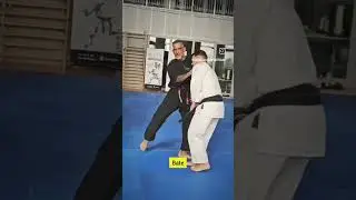 Utiliza&ccedil;&atilde;o correcta do Age Uke by: Vinicio Antony Karate Jutsu