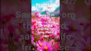 PSALMS 22 IN ENGLISH  ! JESUS CHRIST IS THE LORD  !THE BIBLE READING ! #shortfeed
