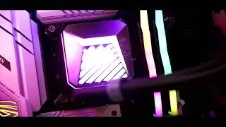 ASSEMBLY VIDEO EP3: INTEL CORE I7-14700F + MSI GEFORCE RTX5060 TI 16GB SHADOW
