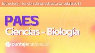 PAES | Biología | Estructura y función de las estructuras celulares II