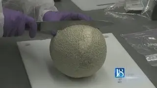Bacteria gets a zap from Purdue's cold plasma
