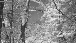 Converting a Canon Powershot S100 to Infrared