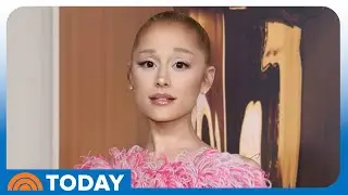 Man Who Rushed at Ariana Grande Faces Charges in Singapore