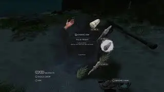 Dec 31st 2025 ScrappyDH Plays Stranded Deep