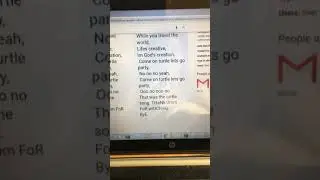 The turtle song (imma turtle girl)