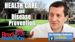 Antibiotic Use and Misuse with Dr Rodrigo Gallardo