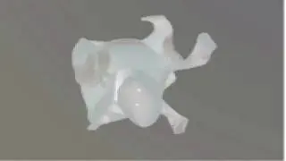 The Gnaural guy likes hippos so here's his fucking hippo in G Major